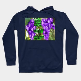 Grapevine Hoodie